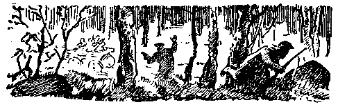 Снежный человек (илл. И. Архипова) pic_19.png