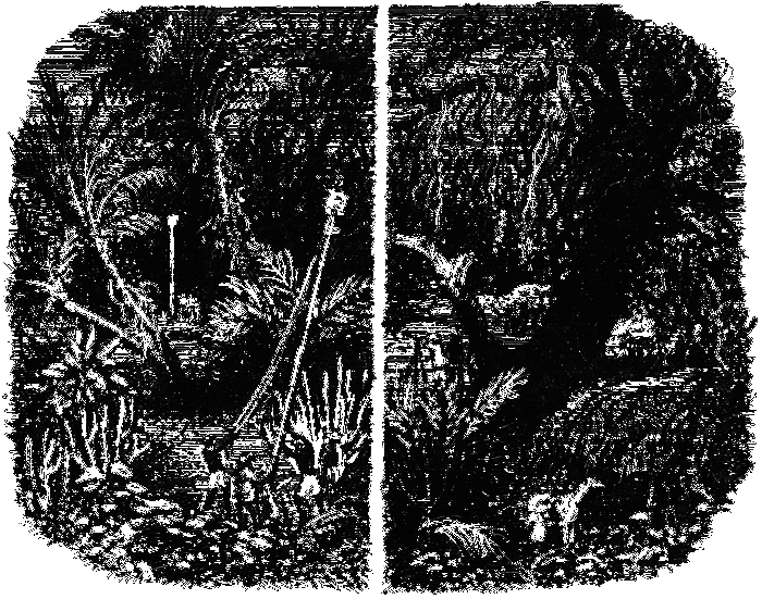 Мгновенье на ветру i_009.png