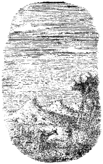Мгновенье на ветру i_014.png