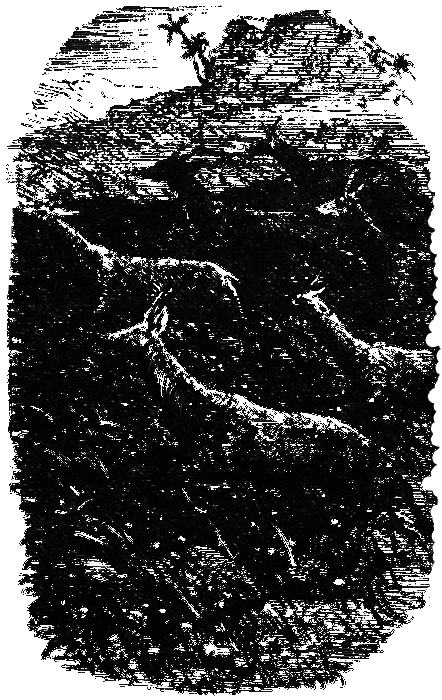 Мгновенье на ветру i_016.png