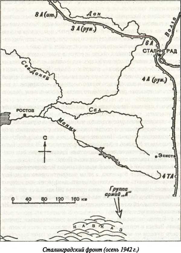 Бронированный кулак вермахта _27.jpg