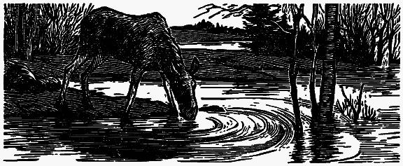 Том 6. Осударева дорога. Корабельная чаща i_004.png