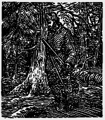Том 6. Осударева дорога. Корабельная чаща i_015.png