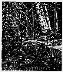 Том 6. Осударева дорога. Корабельная чаща i_016.png