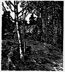 Том 6. Осударева дорога. Корабельная чаща i_017.png