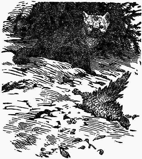 Том 4. Жень-шень. Серая Сова. Неодетая весна i_014.png