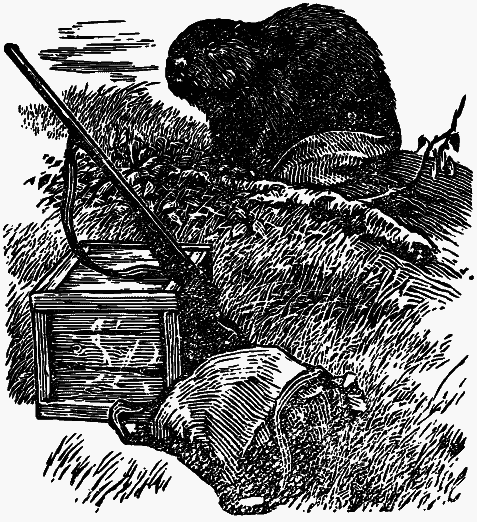 Том 4. Жень-шень. Серая Сова. Неодетая весна i_003.png