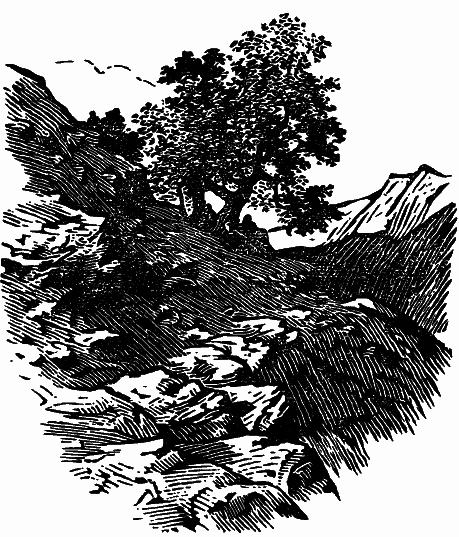 Том 4. Жень-шень. Серая Сова. Неодетая весна i_008.png