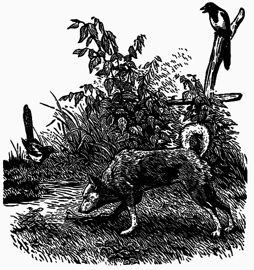 Том 4. Жень-шень. Серая Сова. Неодетая весна i_010.png