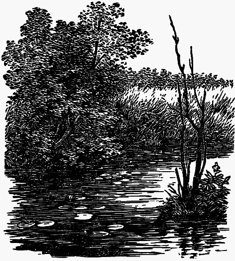 Том 3. Журавлиная родина. Календарь природы i_018.png