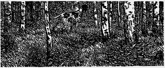 Том 3. Журавлиная родина. Календарь природы i_019.png