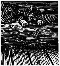 Том 3. Журавлиная родина. Календарь природы i_020.png