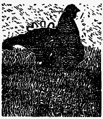 Том 3. Журавлиная родина. Календарь природы i_024.png