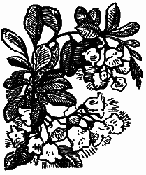 Том 3. Журавлиная родина. Календарь природы i_028.png