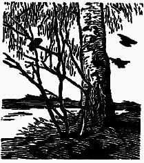 Том 3. Журавлиная родина. Календарь природы i_008.png