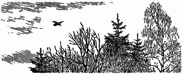 Том 3. Журавлиная родина. Календарь природы i_016.png