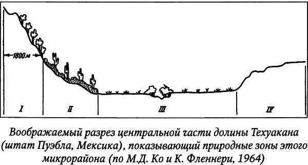 Древние цивилизации Америки i_012.jpg