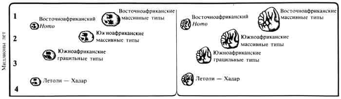 Люси. Истоки рода человеческого J5800000.jpg