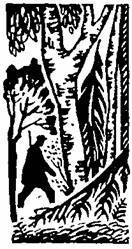 Сестры Строгалевы (сборник) i_004.jpg
