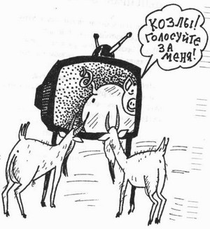 ЛиПа _25.jpg