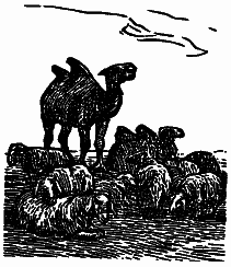 Том 1. В краю непуганых птиц. За волшебным колобком i_035.png