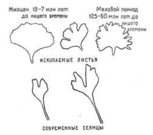 Астробиология _12.jpg