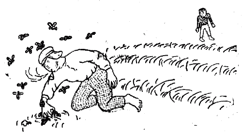 Белая книга i_033.png