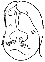Том 5. Рассказы, очерки, фельетоны i_034.png