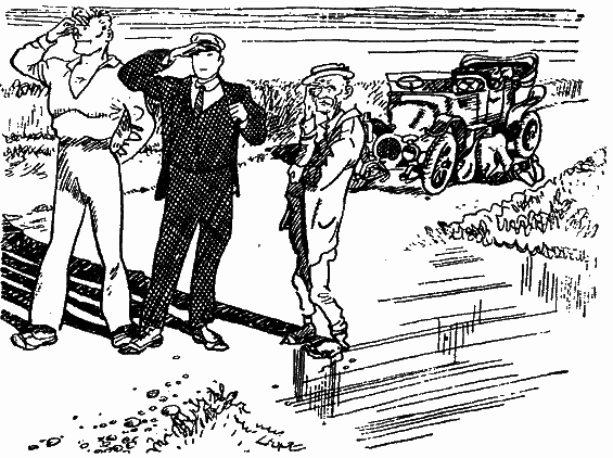 Том 2. Золотой теленок i_037.png