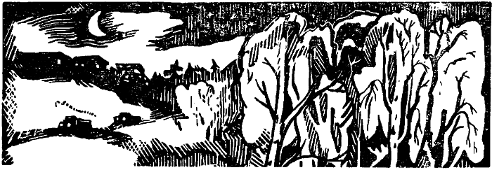 Особняк за ручьем i_001.png