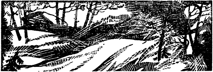Особняк за ручьем i_003.png