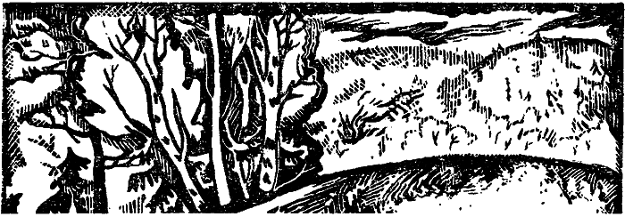 Особняк за ручьем i_002.png
