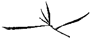 Мир зеленого безмолвия image26.png