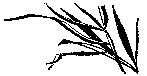 Мир зеленого безмолвия image28.png
