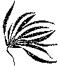 Мир зеленого безмолвия image72.png