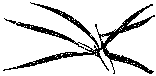 Мир зеленого безмолвия image74.png