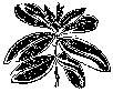 Мир зеленого безмолвия image80.png