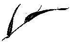 Мир зеленого безмолвия image82.png