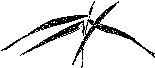 Мир зеленого безмолвия image84.png