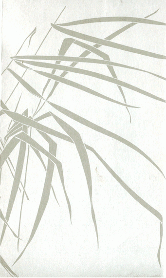 Мир зеленого безмолвия image85.png
