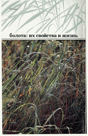 Мир зеленого безмолвия image86.png