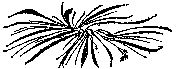 Мир зеленого безмолвия image18.png