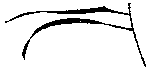 Мир зеленого безмолвия image20.png