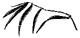 Мир зеленого безмолвия image24.png