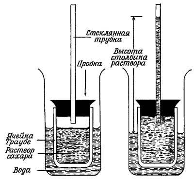 Живые часы n11.jpg