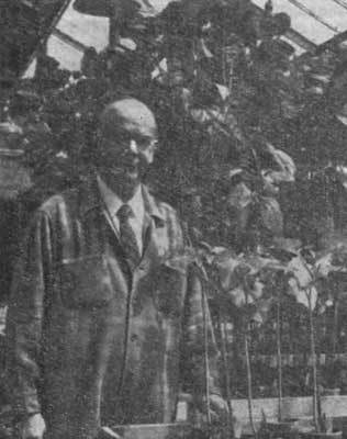 Живые часы n50.jpg