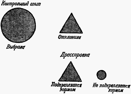 Думают ли животные? i_019.png