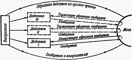 Думают ли животные? i_031.png