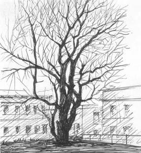 Московские картинки 1920-х - 1930-х г.г i_066.jpg