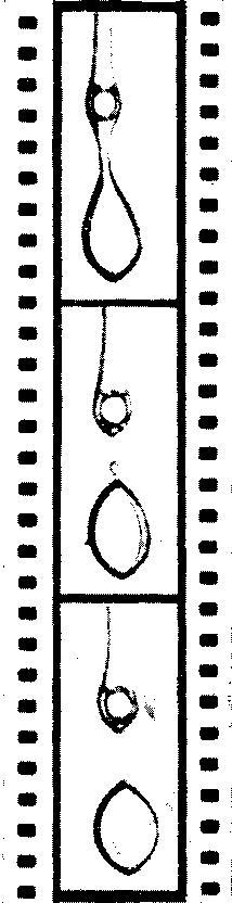 Капля _66.jpg